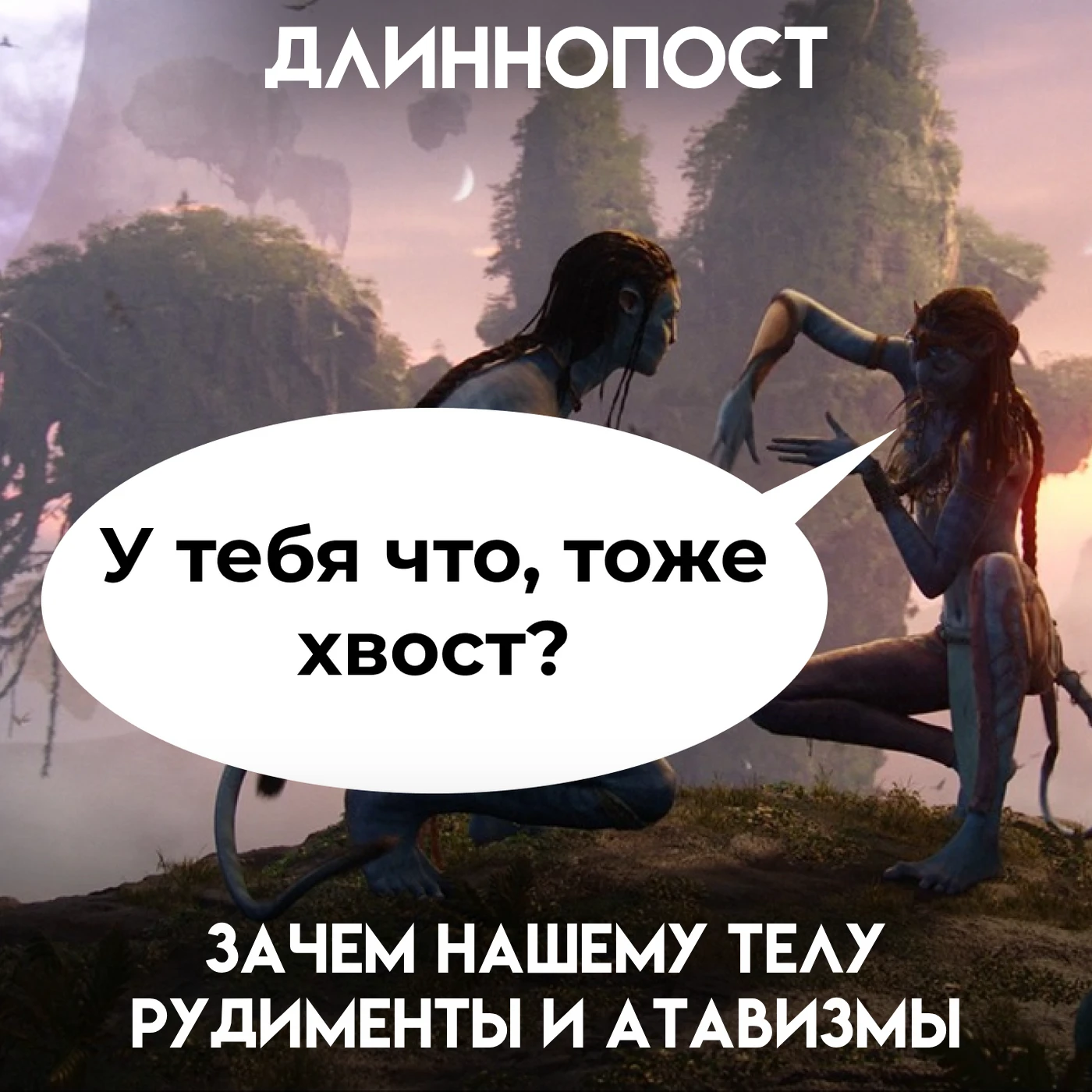 Копчик, зубы мудрости, аппендикс, мурашки от холода — всё это досталось нам в наследств...
