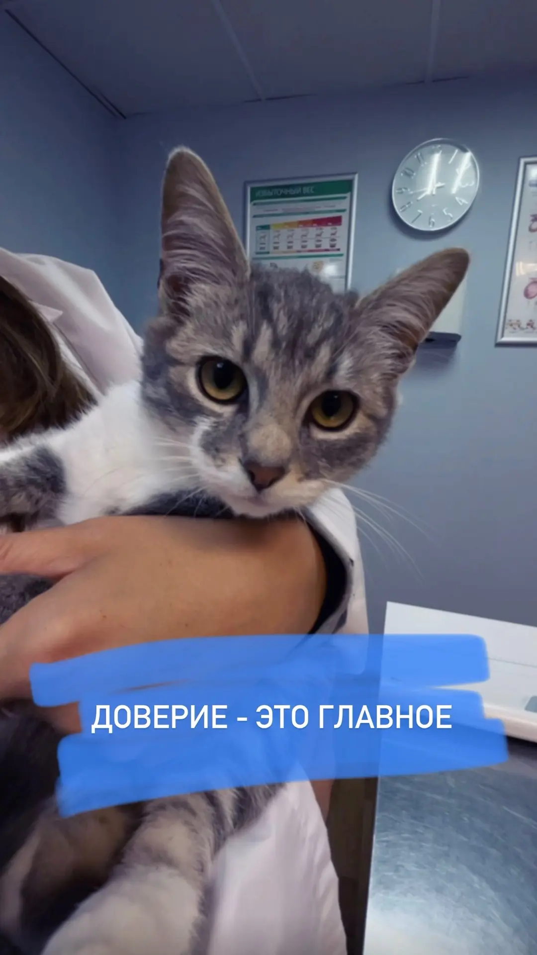 А вы тоже ловите себя на мысли, что ради хвостатого готовы на всё? ❤️