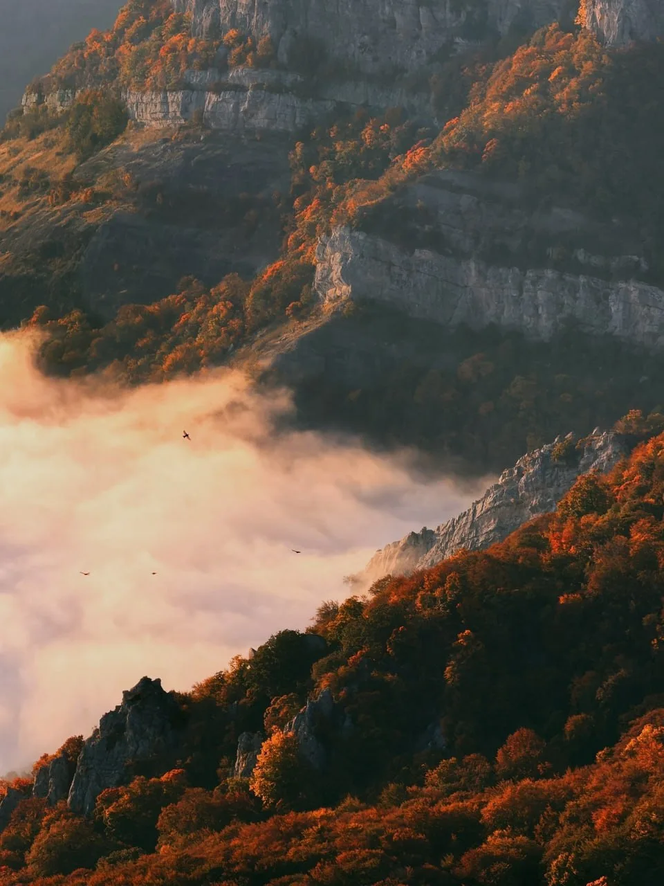 Над облаками ☁️ Демерджи 🗻