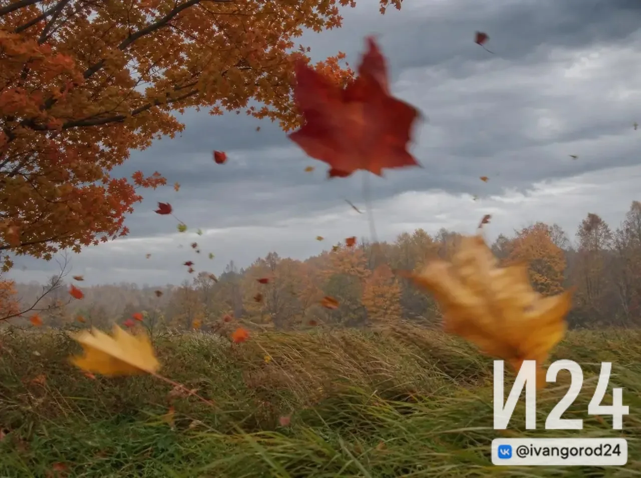 ☁️ Ивангород, доброе утро!