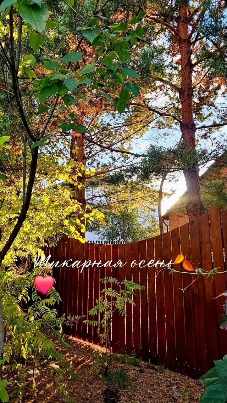 Доброе утро, омичи 😀