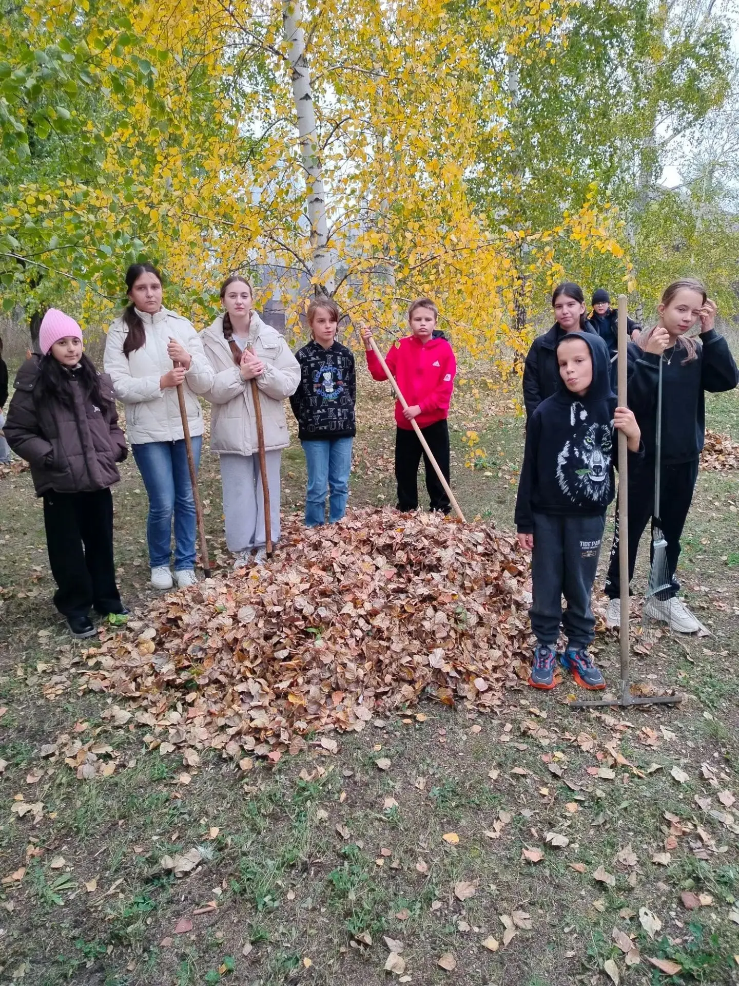 ОСЕННИЙ ТРУДОВОЙ ДЕСАНТ. 💪🍂🍁