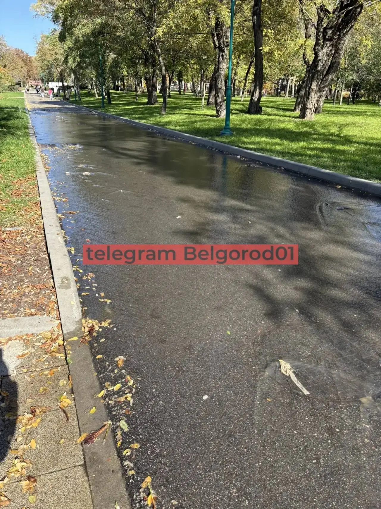 На речку-вонючку в парке Ленина пожаловались читатели.