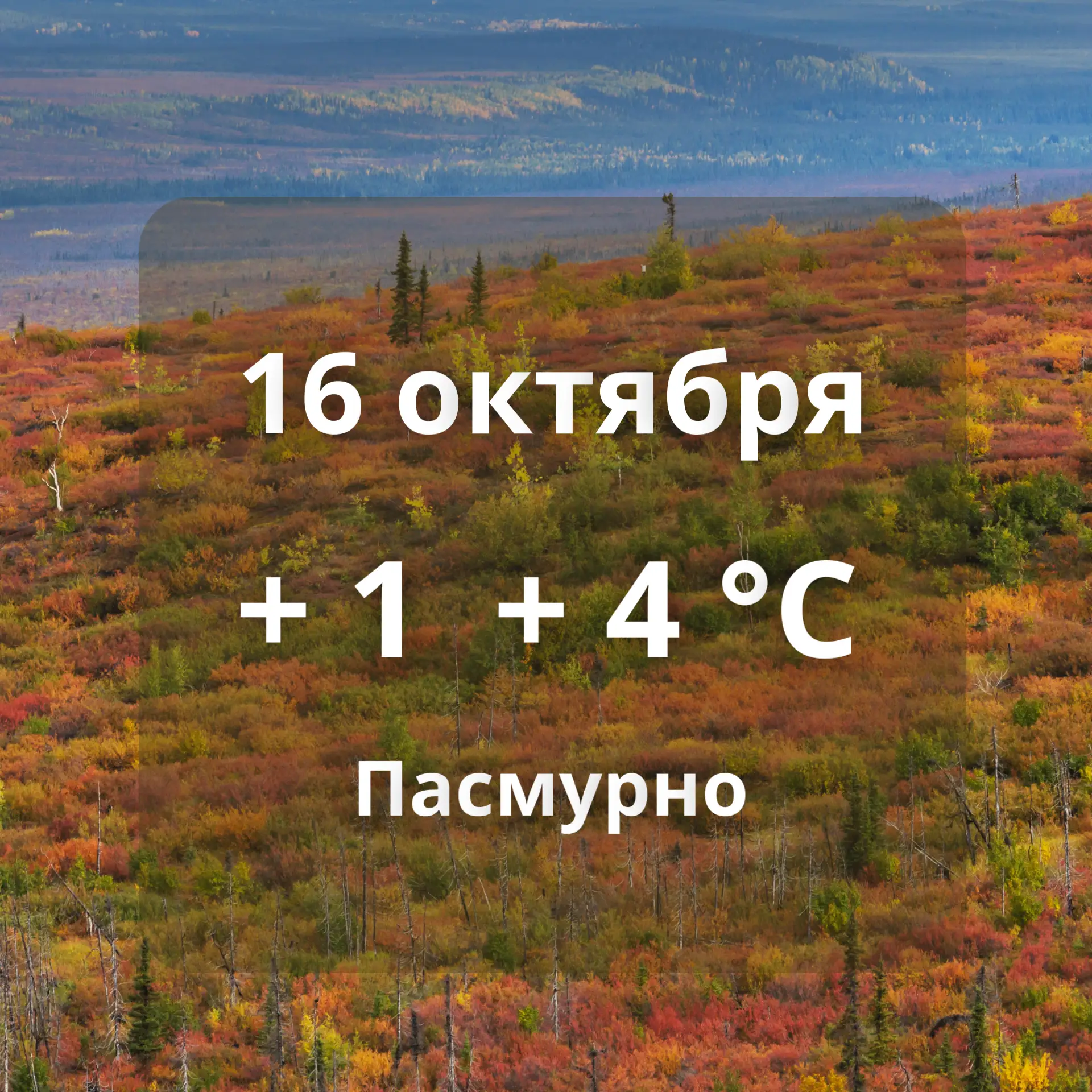 🍁Погода в Аксарке на сегодня