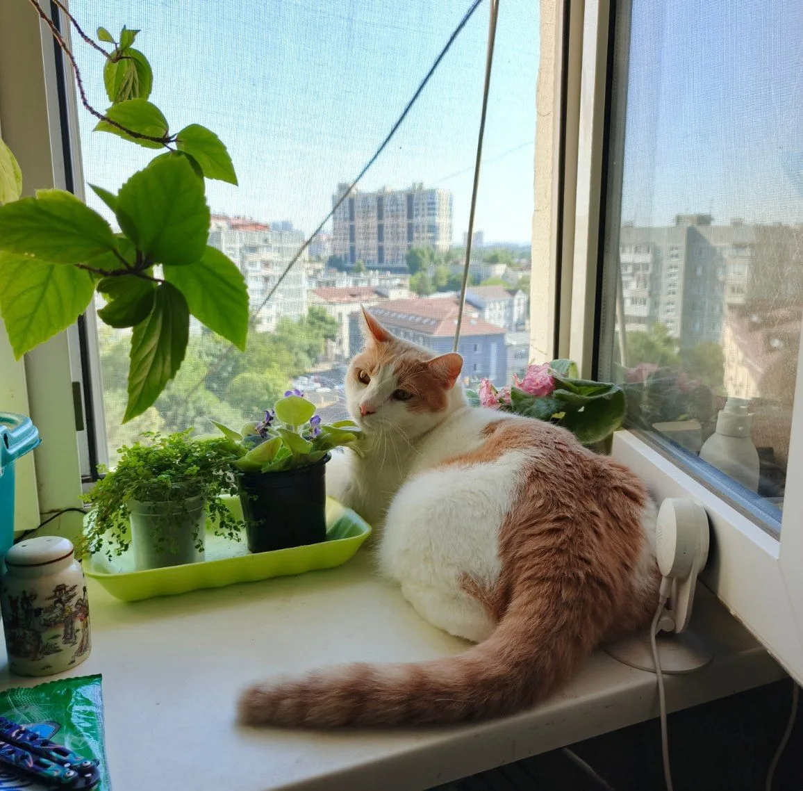 🌞 По-летнему тепло будет на следующей неделе на Кубани.