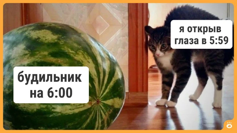 Все в порядке, минутку еще можно будет поспать 😁