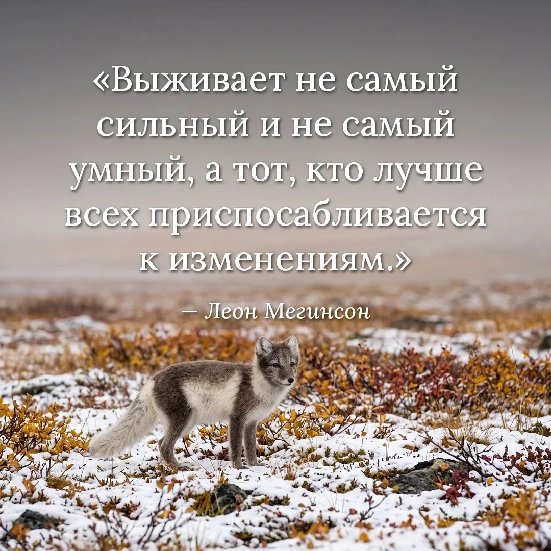 Понравился контент? Подпишись на наш второй канал MAXимально вкусно!