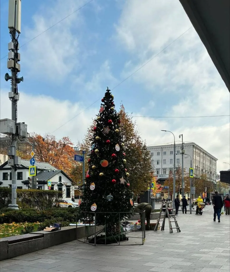 🎄 Новогодние ёлки уже расставляют по всей Москве. @moscowmi