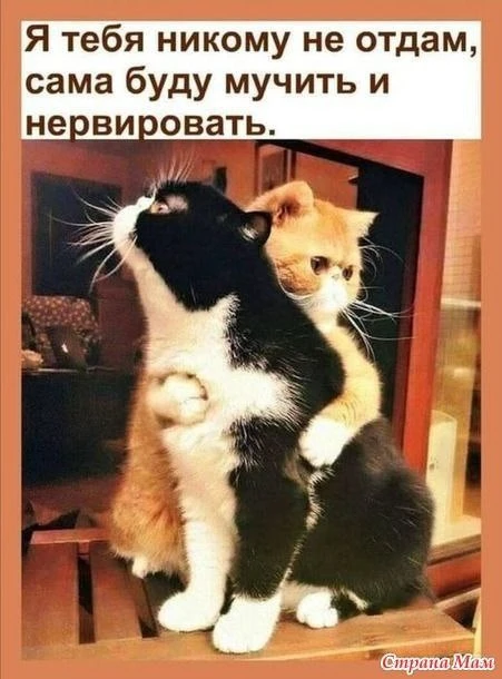 Открытки: подписаться ❤️