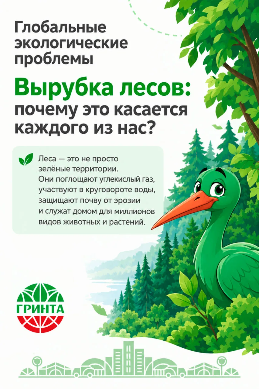 🌳 Глобальные экологические проблемы. Вырубка лесов: почему это касается каждого из нас?