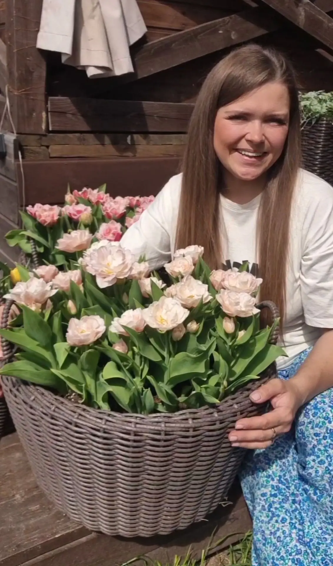 🌷🌷🌷🌷🌷🌷🌷🌷🌷🌷🌷🌷