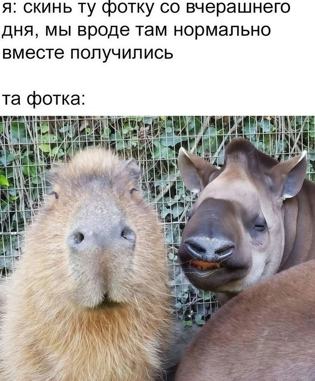 КуЗьМа в ТеМе