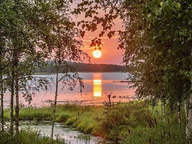 🌅 Доброе утро!