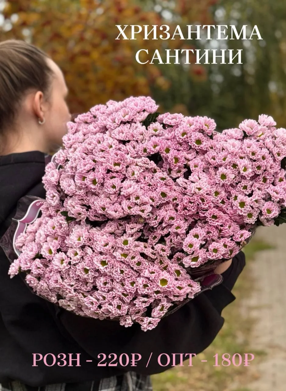 Приняли новую поставку цветов ! 😍🌼