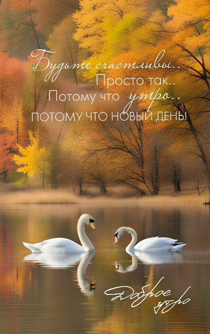 Всем доброе утро!