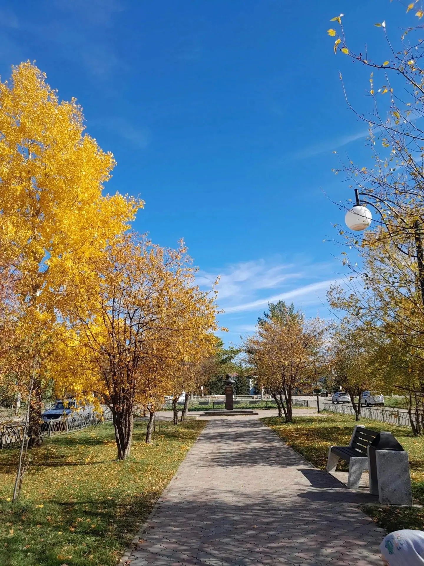 Золотая осень 🍁🍂