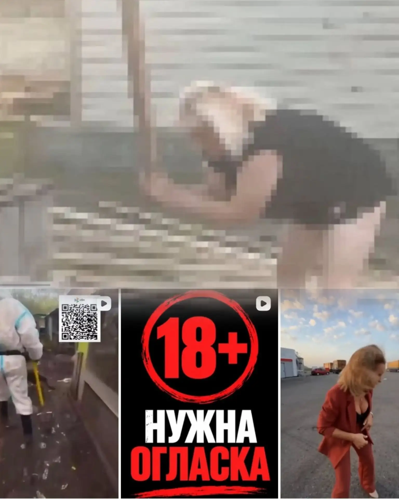 ♥ Телеведущая и зоозащитница Ольга Орлова взяла под опеку барнаульского песика Боя