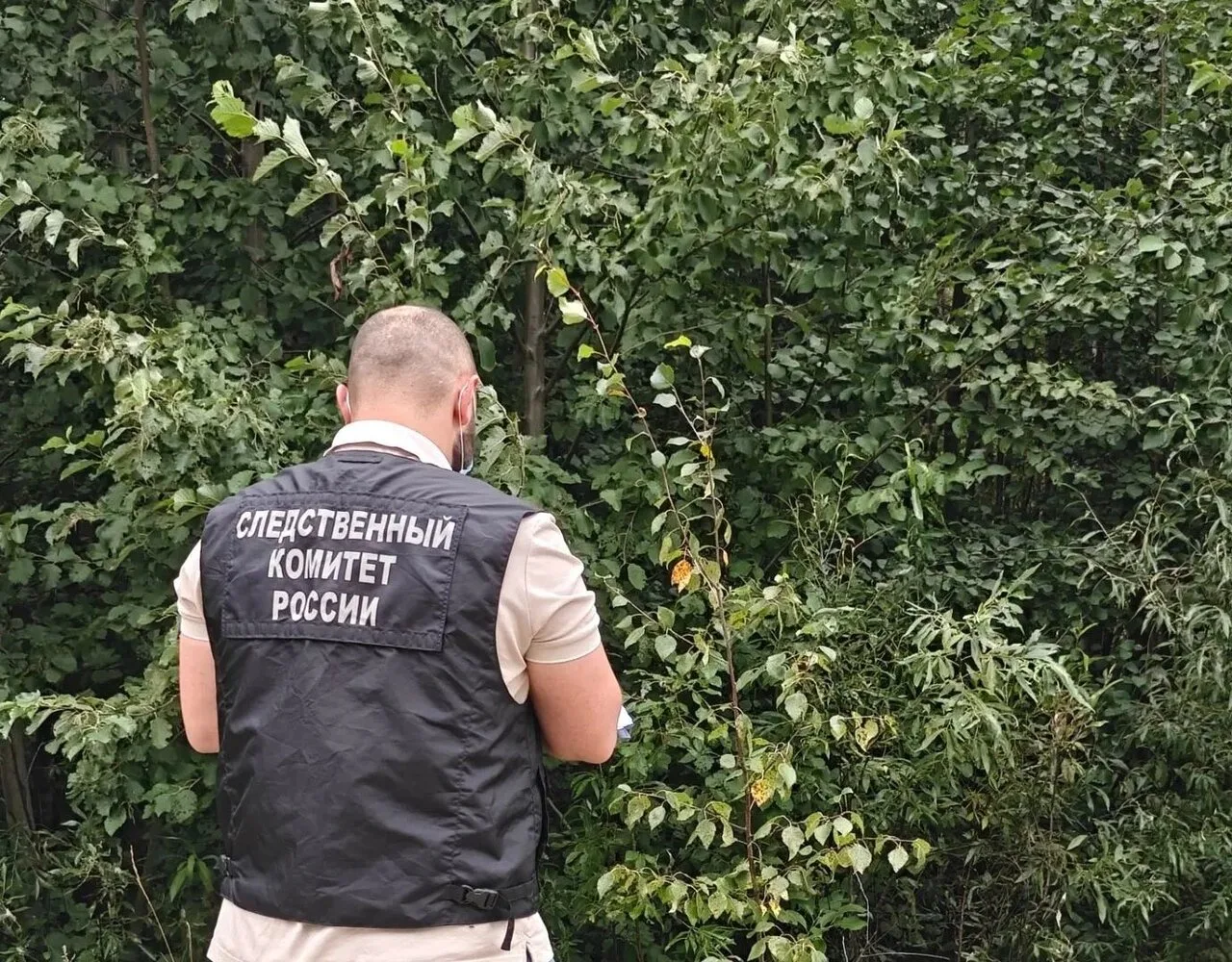 Жителя Новодвинска будут судить не только по обвинению в убийстве женщины. но и за краж...