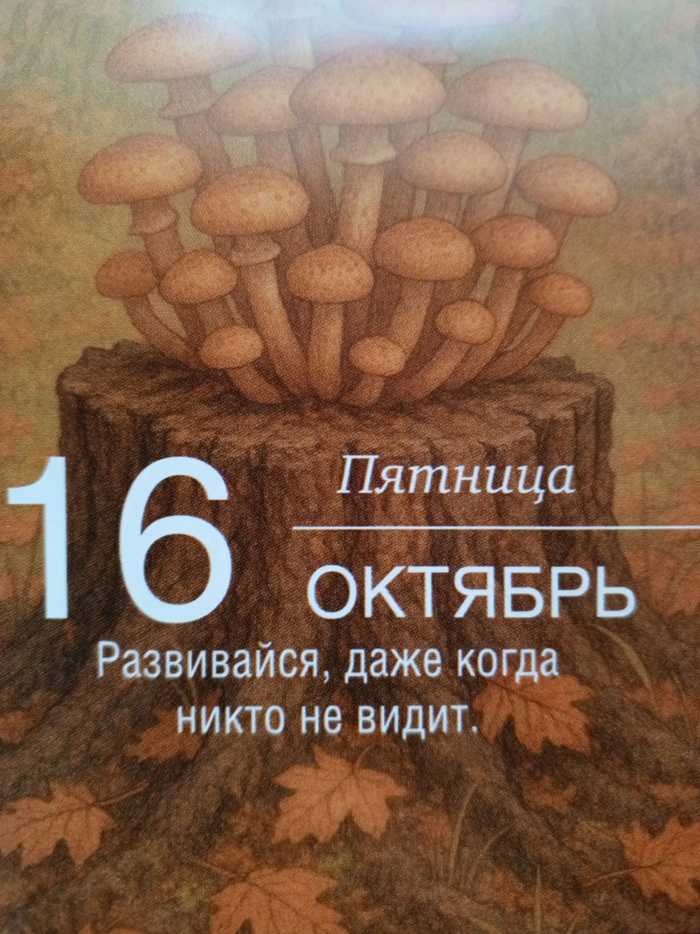 Когда ты развиваешься без лишних глаз и аплодисментов, ты строишь фундамент, который ни...