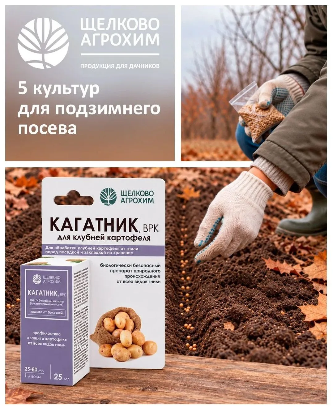 5 культур для подзимнего посева❄️