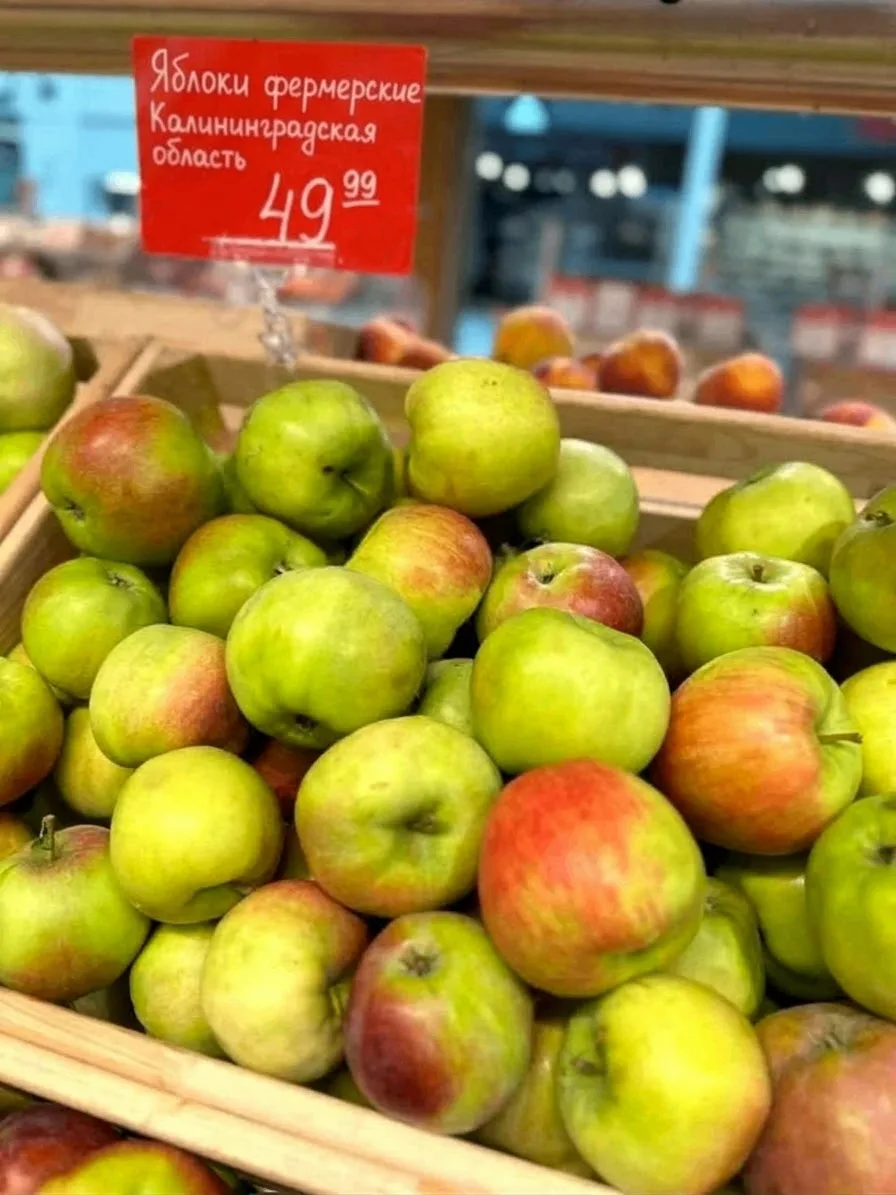 ЯБЛОКИ по 49,99₽/кг 🍏 🇷🇺 С любовью от местных фермеров ❤️🌳 Сезон в разгаре!