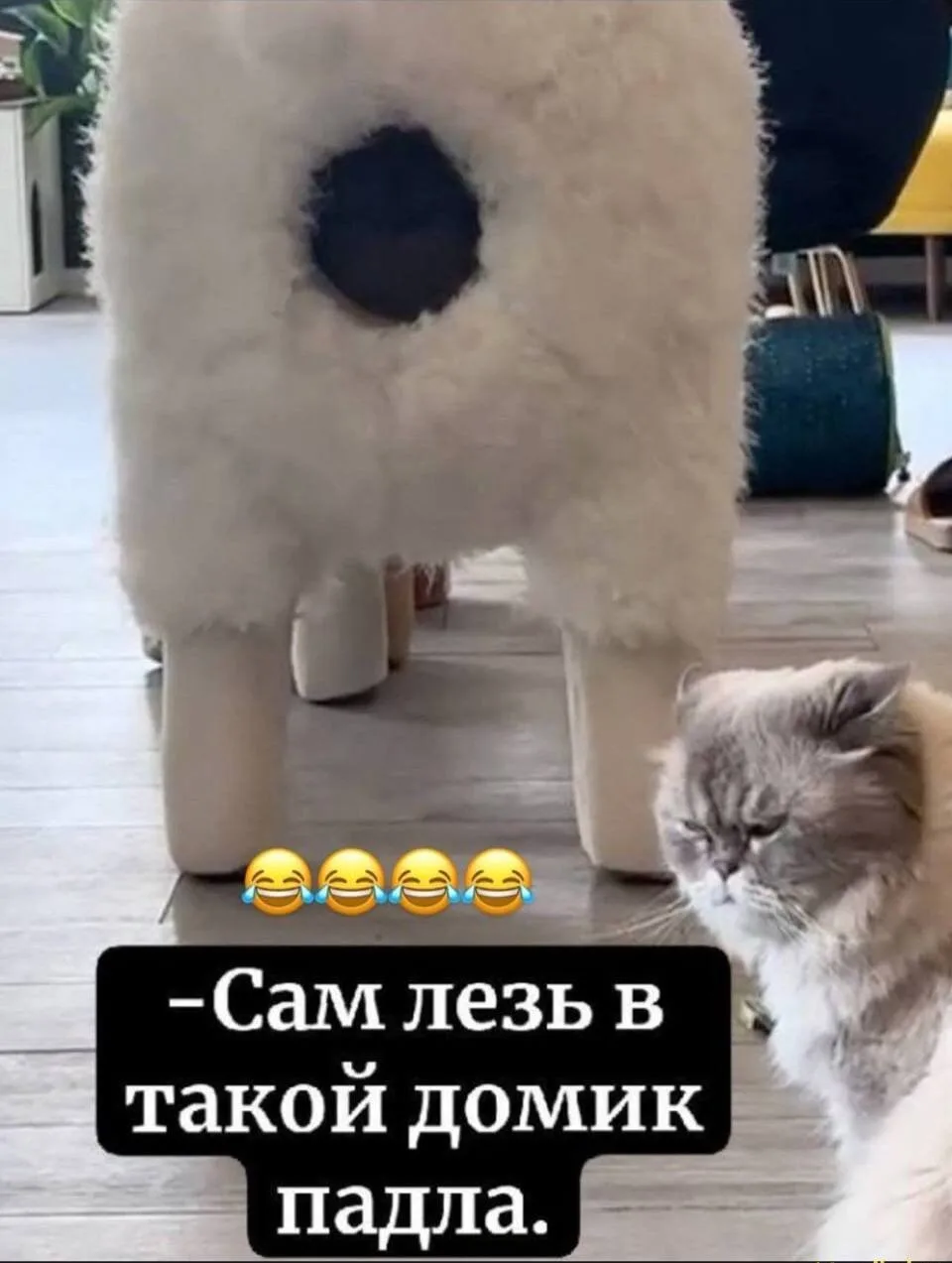 Записки алкоголика🥃 в TG  | в MAX