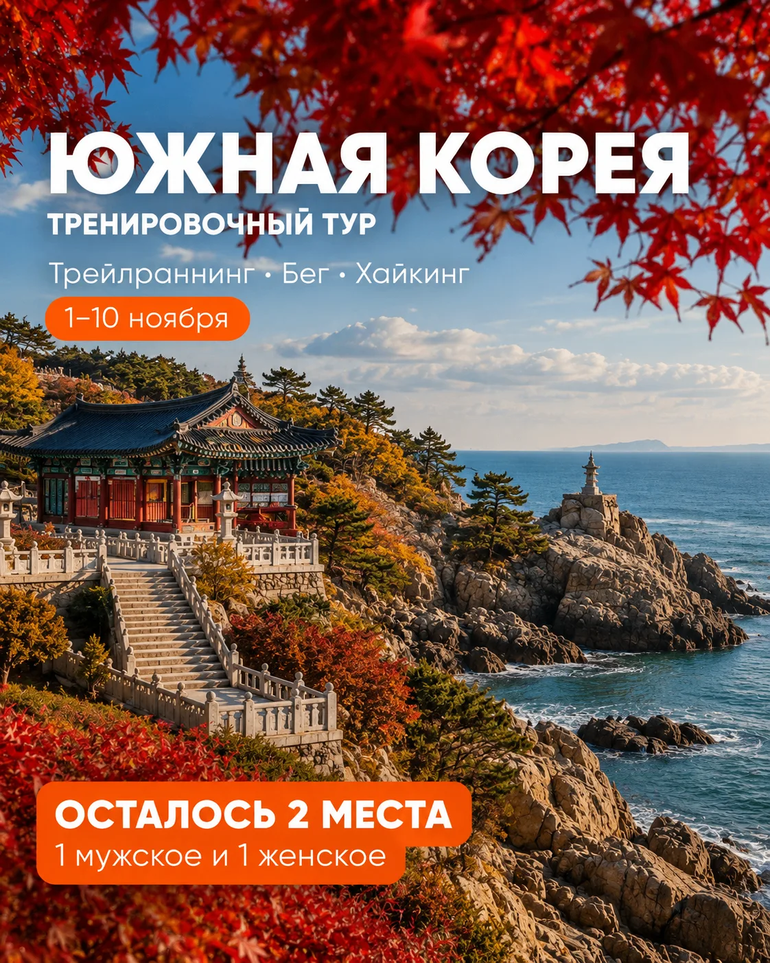 В тренировочный тур в Южную Корею осталось всего 2 места 🇰🇷