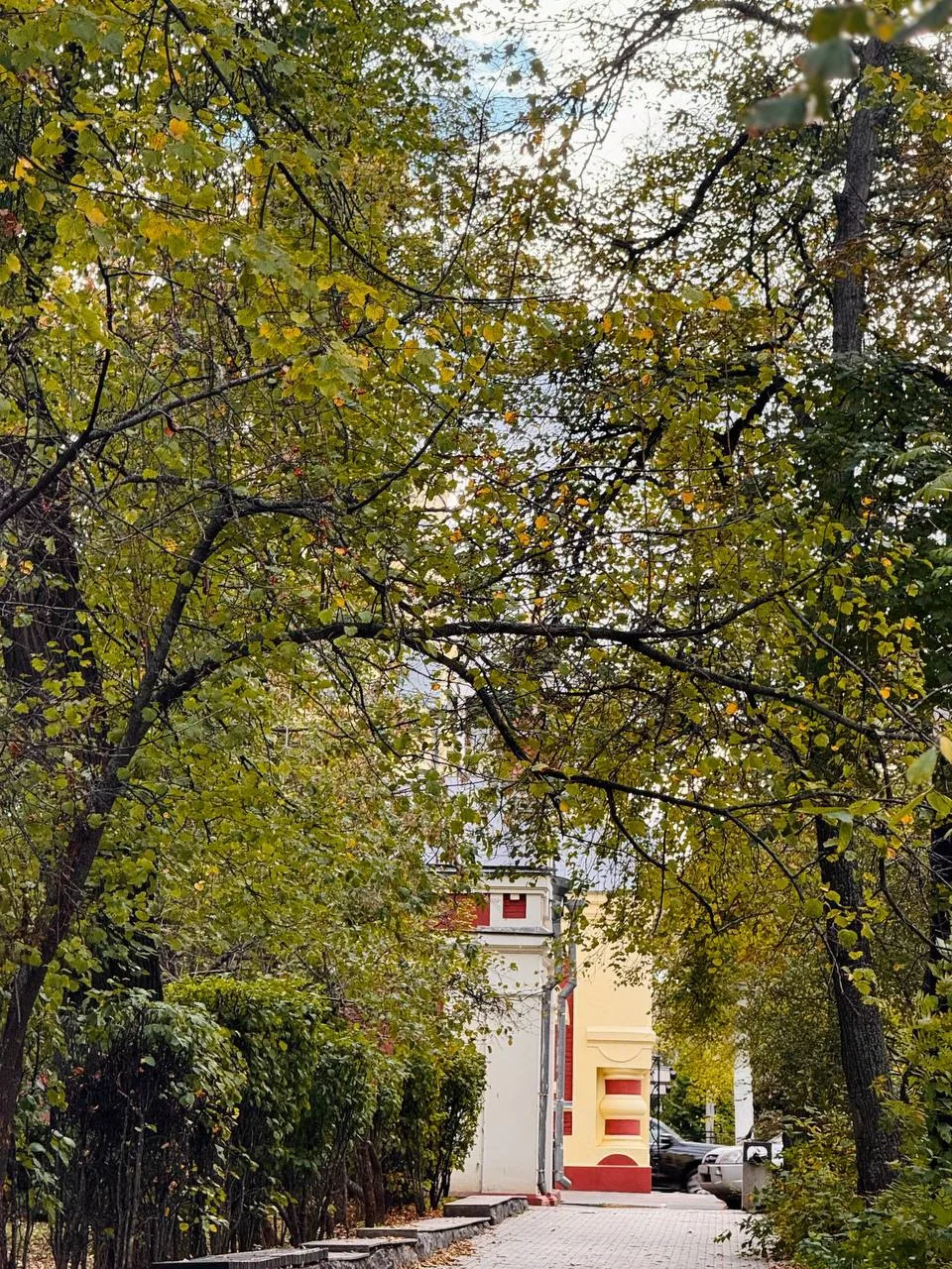 Уютный уголок центра, на перекрестке Минина и Нестерова.