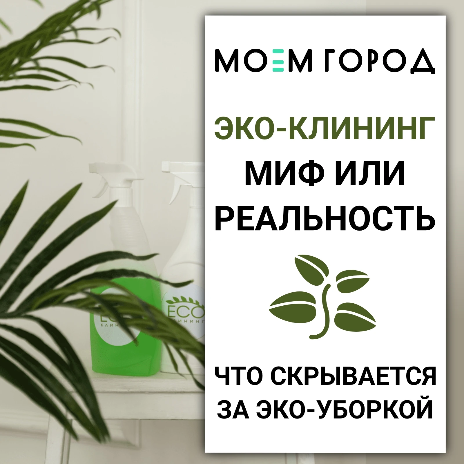 Всё больше людей выбирают экологичные средства для дома. Но так ли безопасна "зеленая" ...