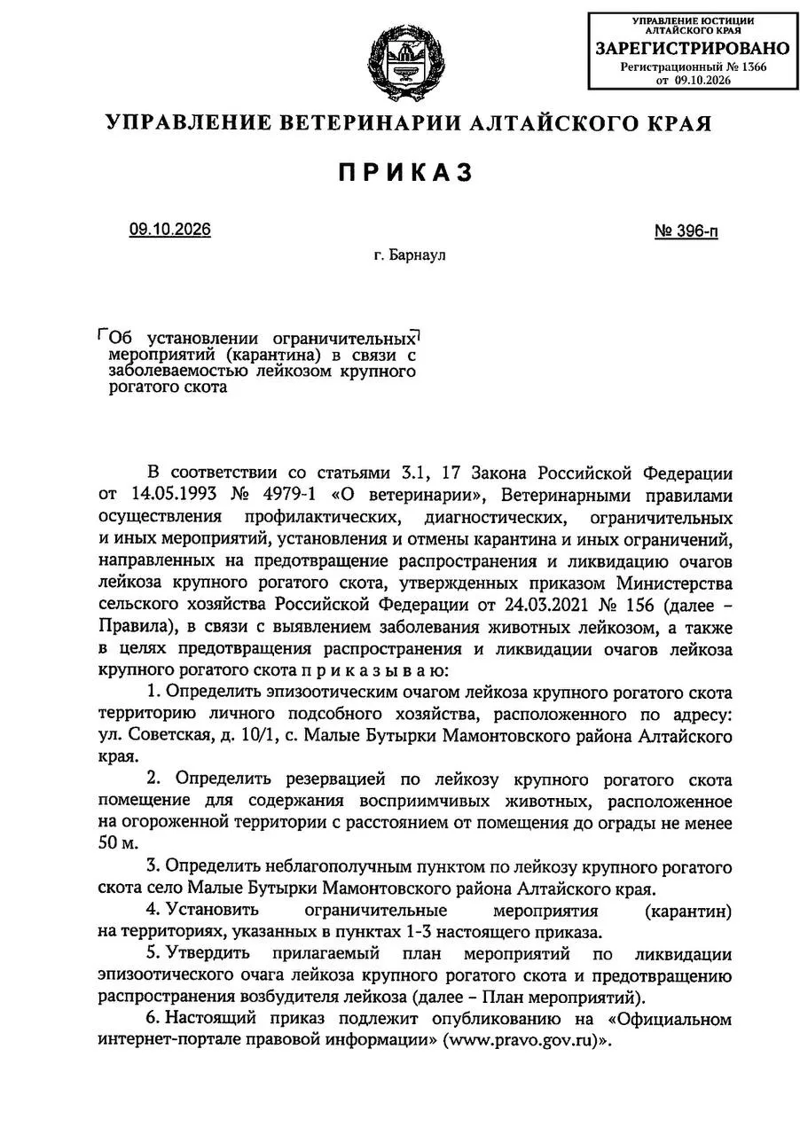 ‼️Очередную вспышку лейкоза крупнорогатого скота выявили в Алтайском крае.