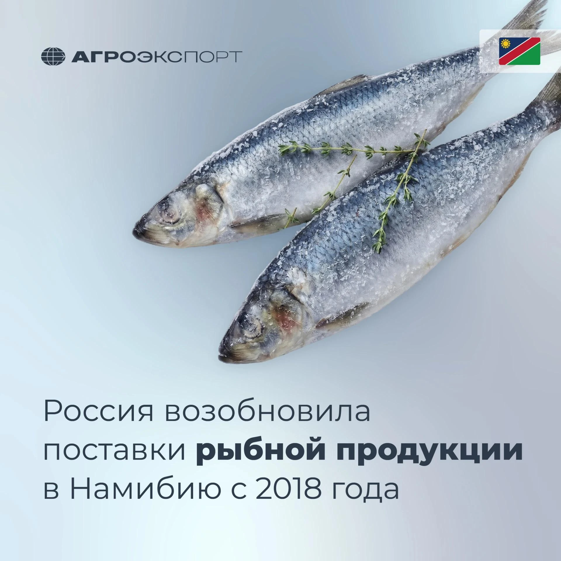 Россия возобновила поставки рыбной продукции в Намибию с 2018 года