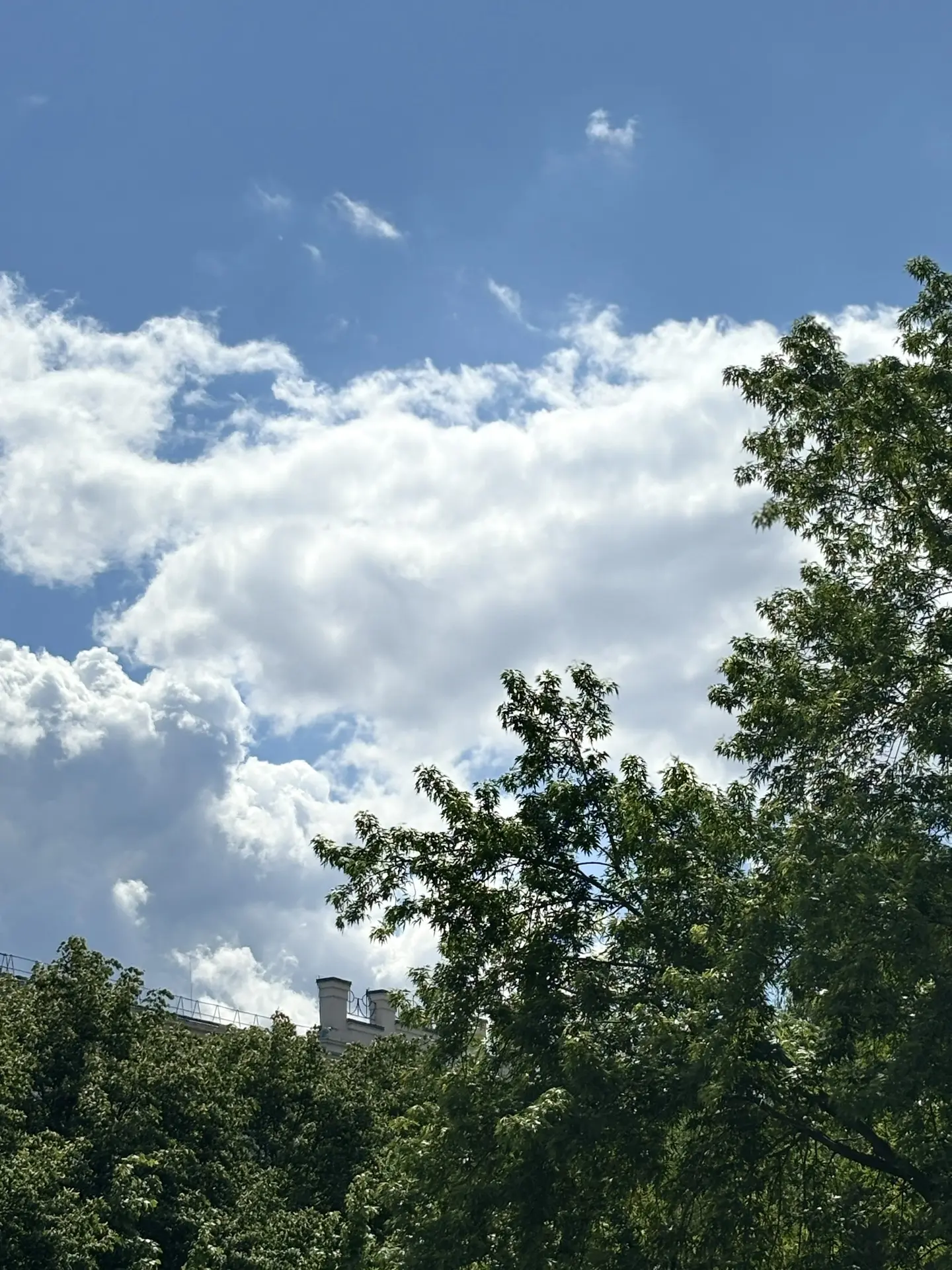 Доброе утро ☀️