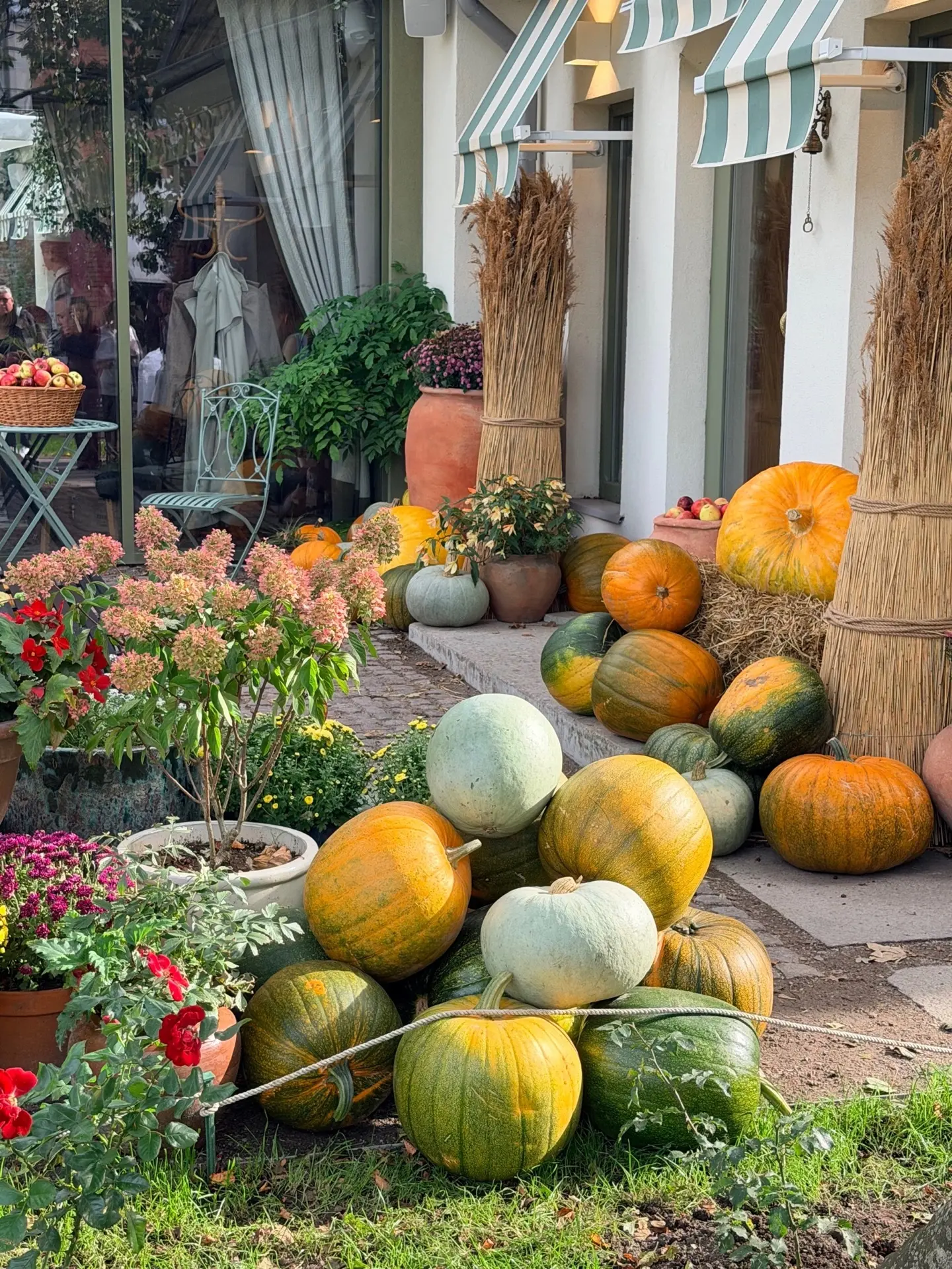 🎃 Хотите зарядиться осенним настроением, посмотреть на тыквы-гиганты и множество тыков...