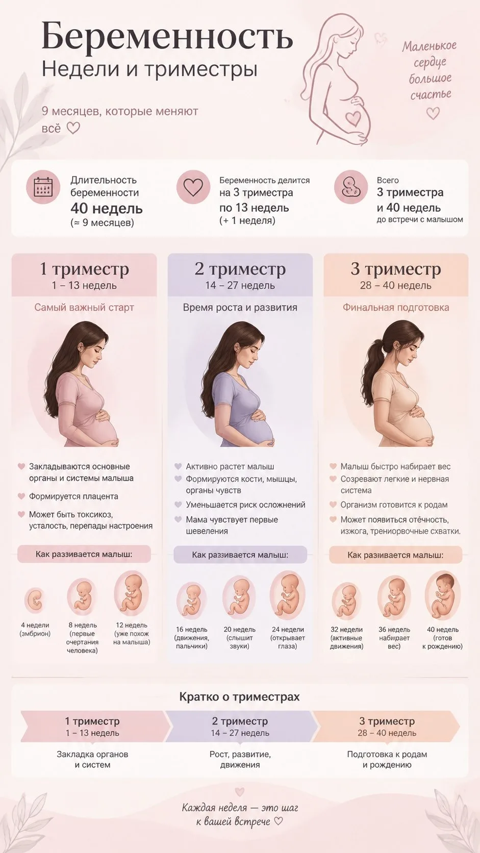 Сроки беременности: что важно знать на каждом этапе