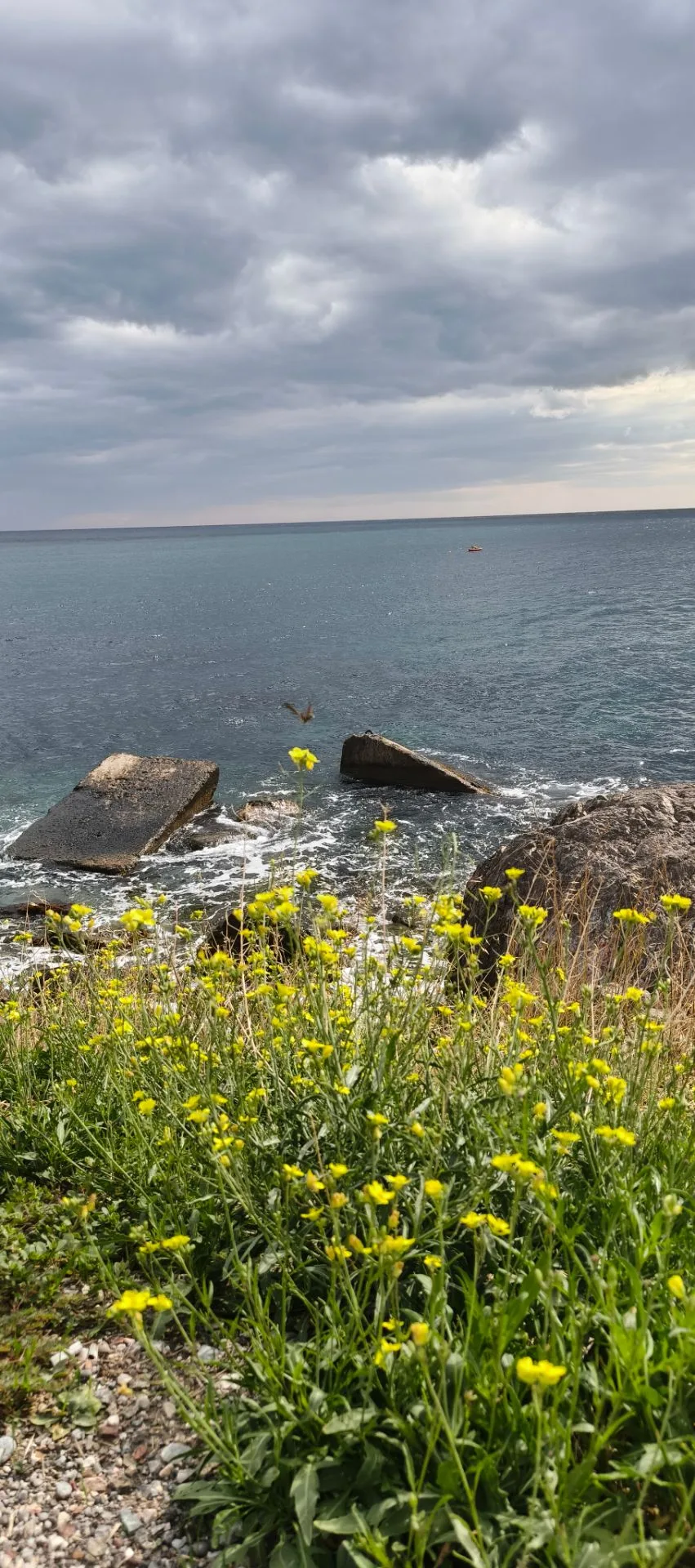 Сегодня просто дышим 🩵🌊🩵