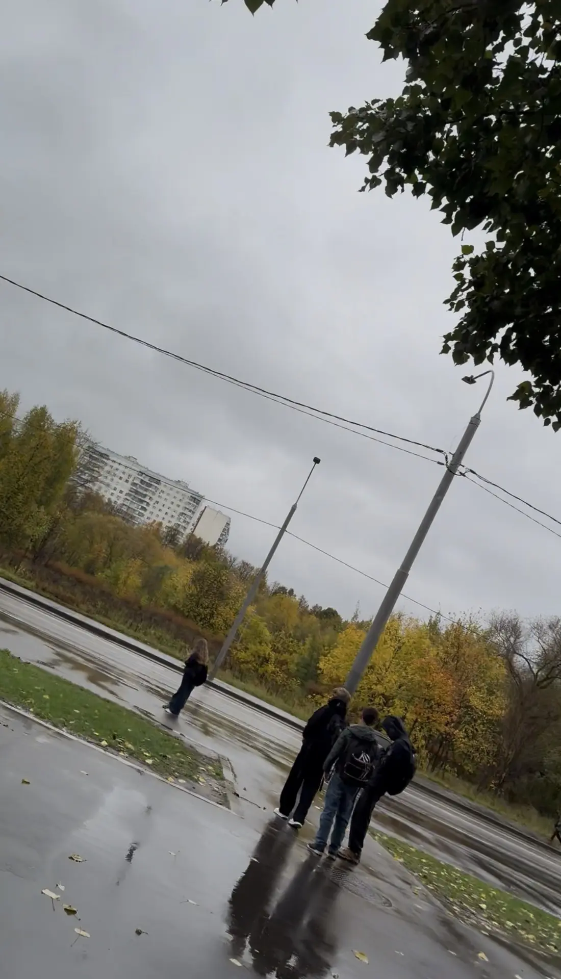 Предложка: