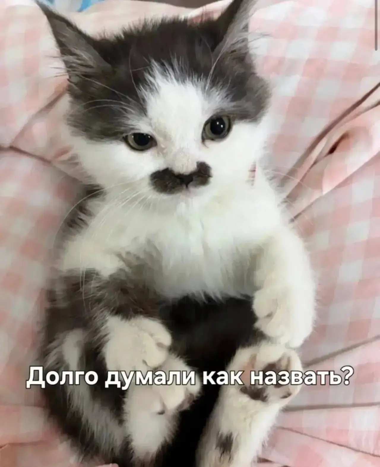 👉 Подписаться