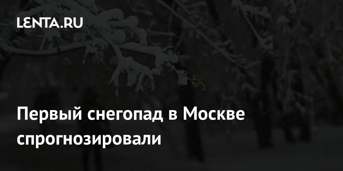 Москвичам пора готовиться к первому снегу. Руководитель прогностического центра «Метео»...