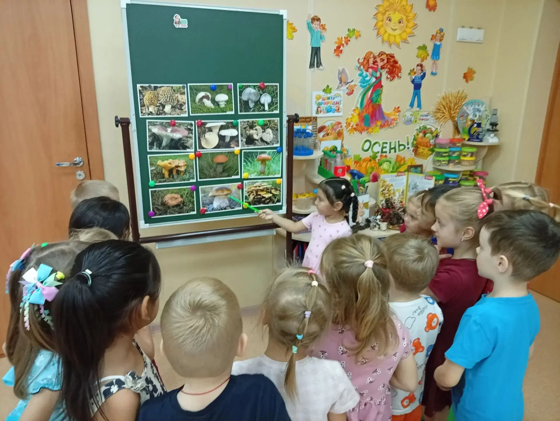 Ребята группы "Кораблик" познакомились с лексической темой "Грибы".
