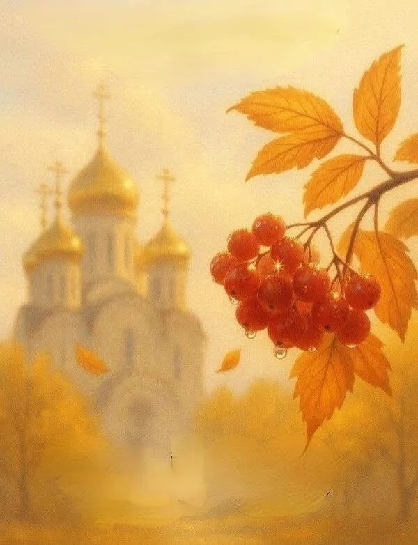 Вам открытка 💙