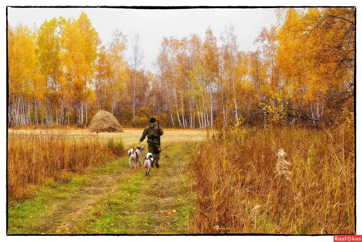 ОХОТНИЧИЙ СЕЗОН