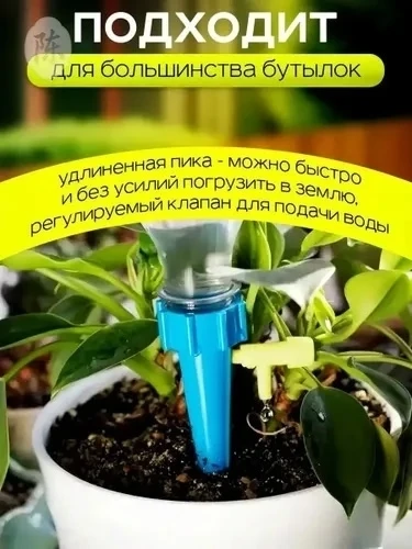 Тени