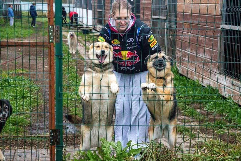 Вчера у нас получился действительно большой волонтёрский день. 🐾