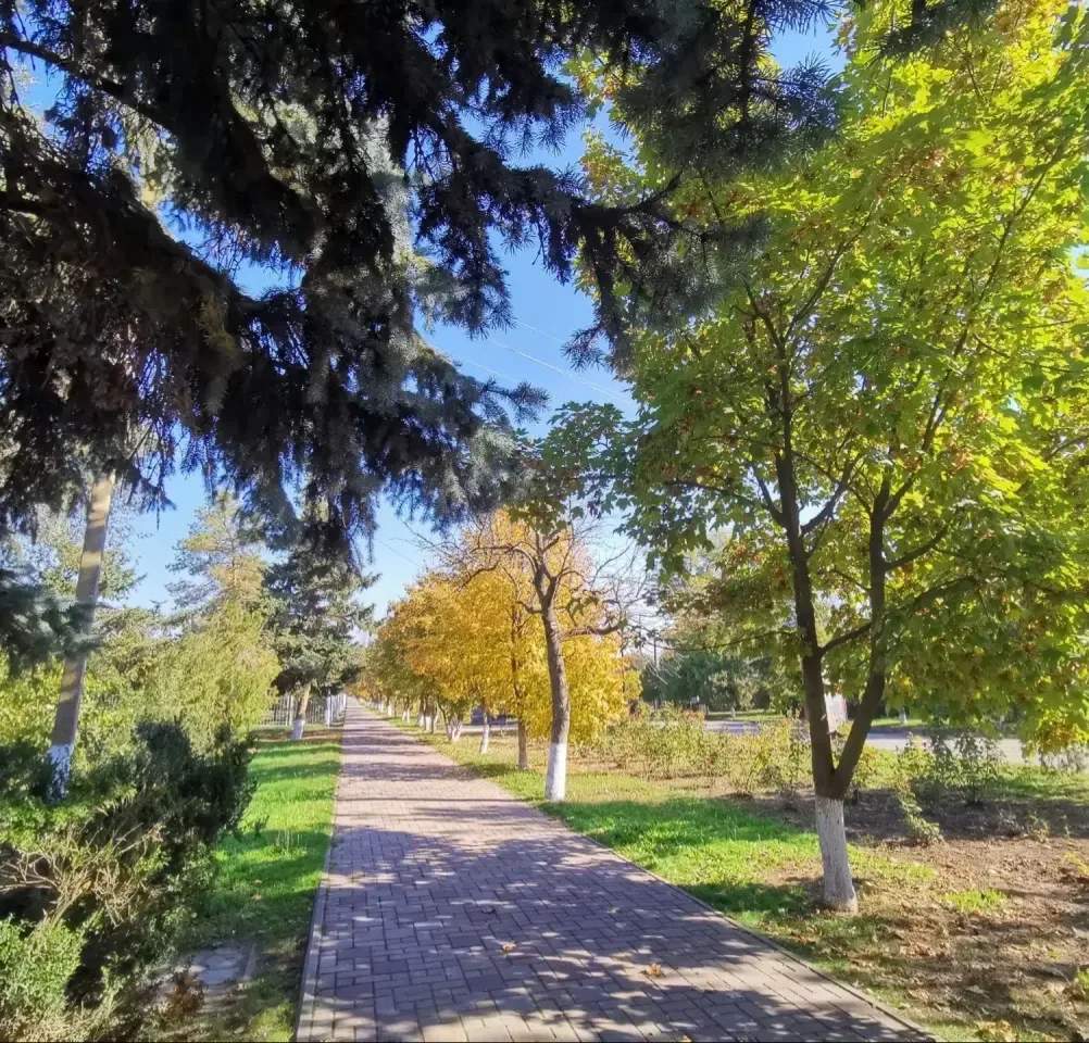 Доброе осеннее утро ☀️