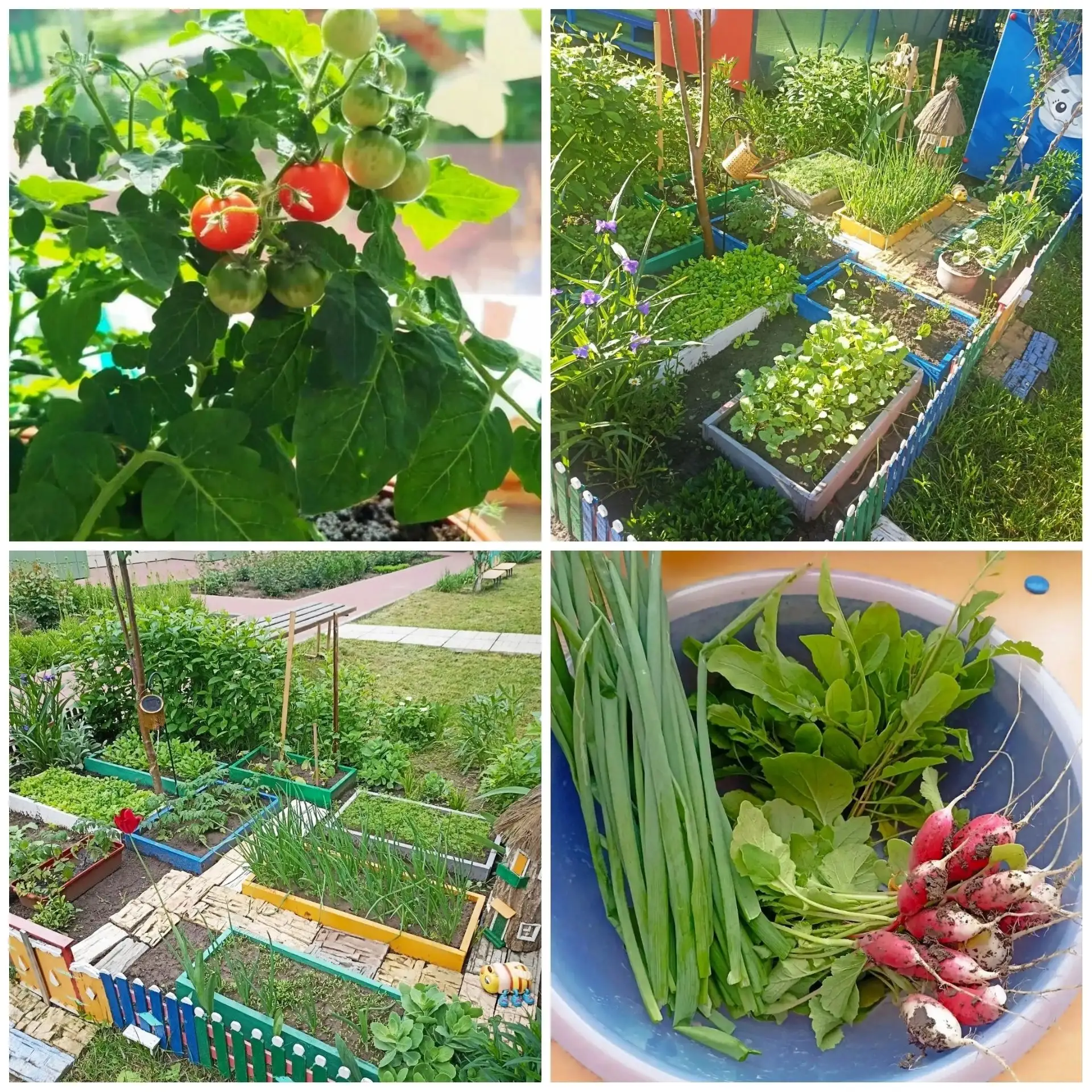 С Днём сельского хозяйства! 🥕🌾