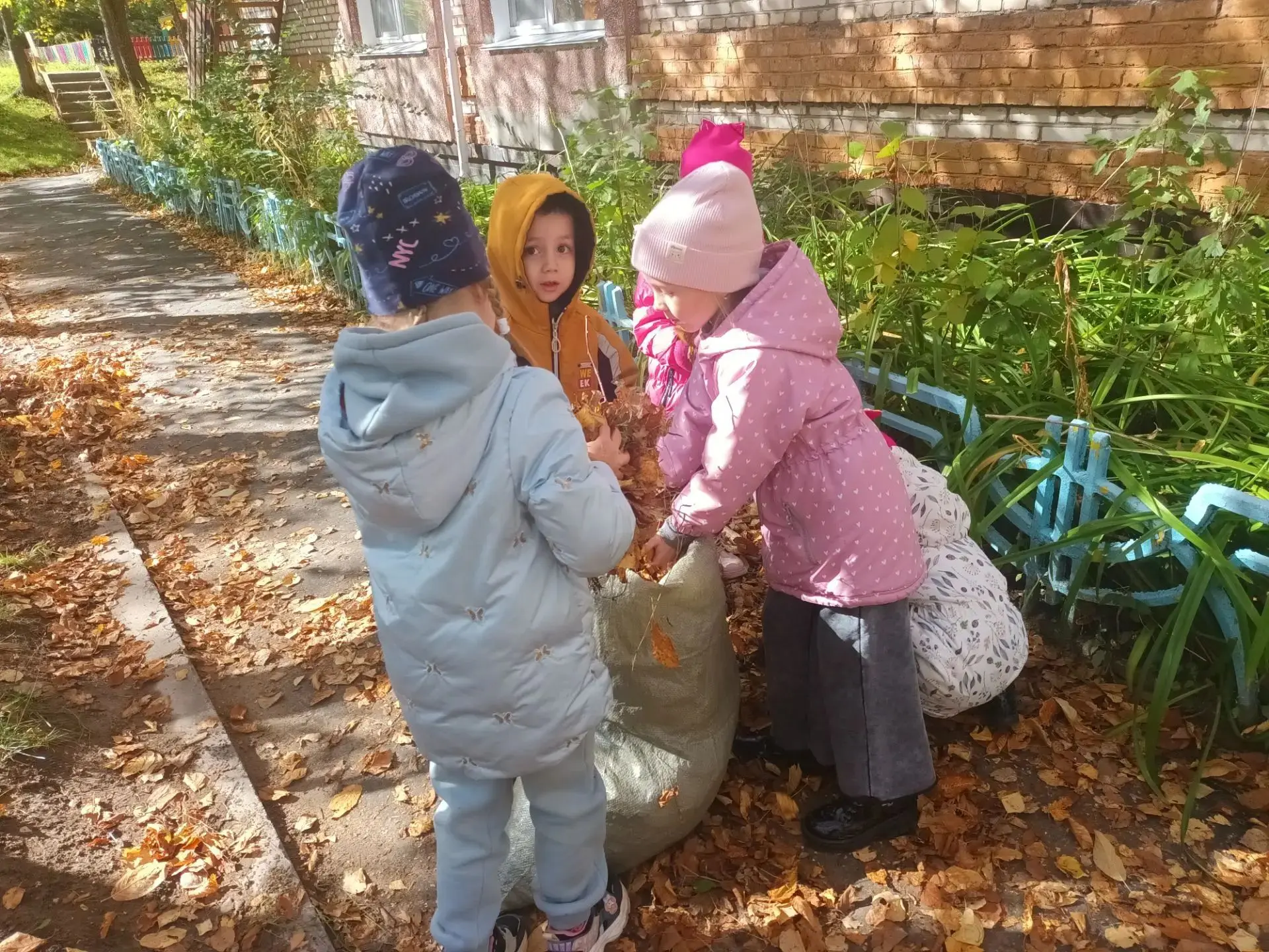 🍂В группе № 10 прошёл осенний трудовой десант. Дети вместе с воспитателями собрали опа...