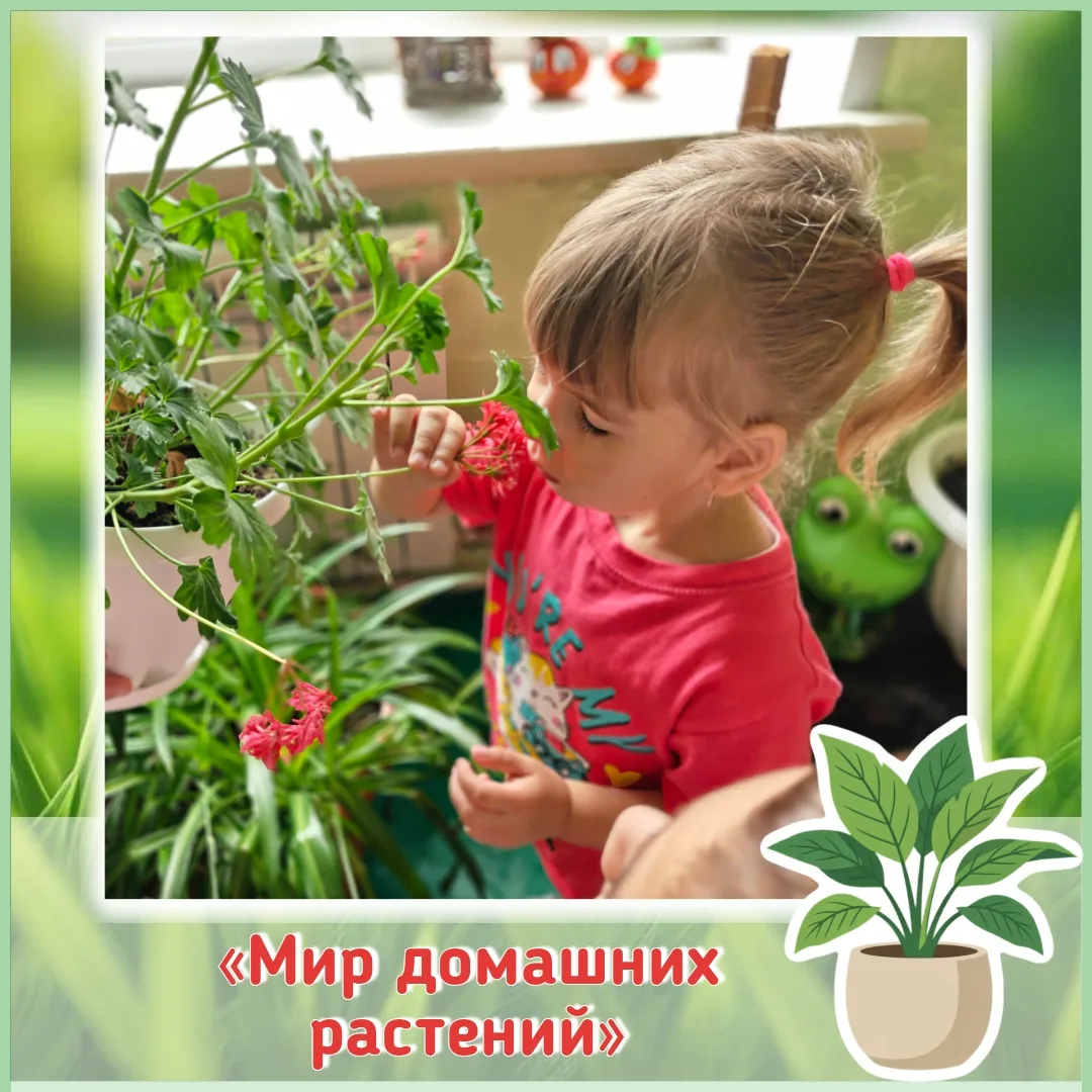 🌿 Сегодня наши ребята трудились в зелёном уголке!