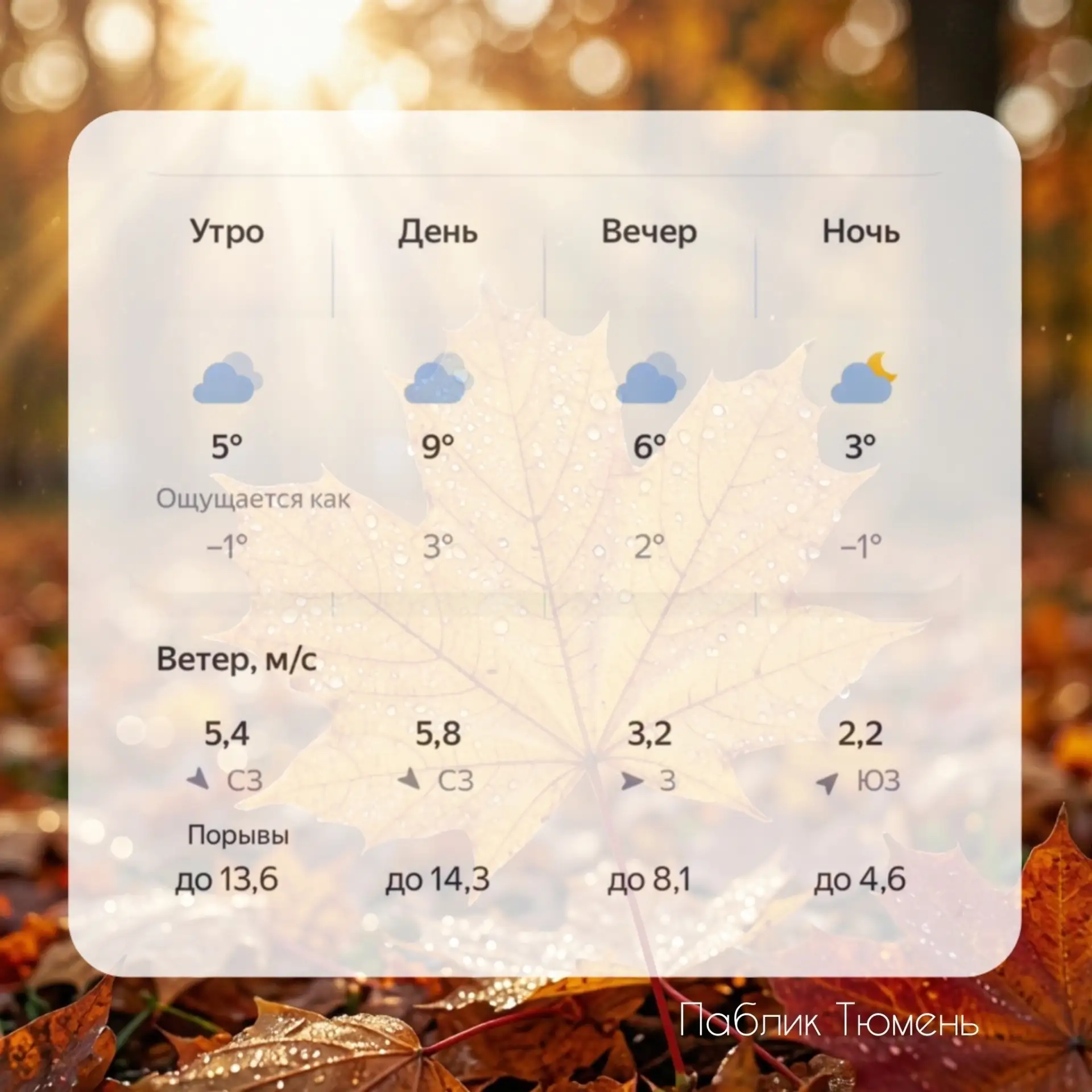 Доброго пятничного 🍁