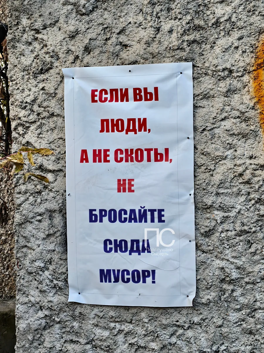 Сысерть говорит. Но, кажется, её не слышат!