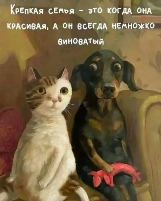 Вам открытка 💙